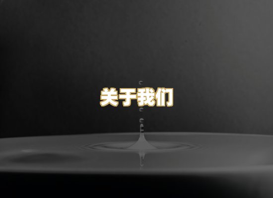 关于我们
